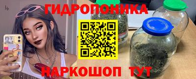 прущие грибы Заволжье