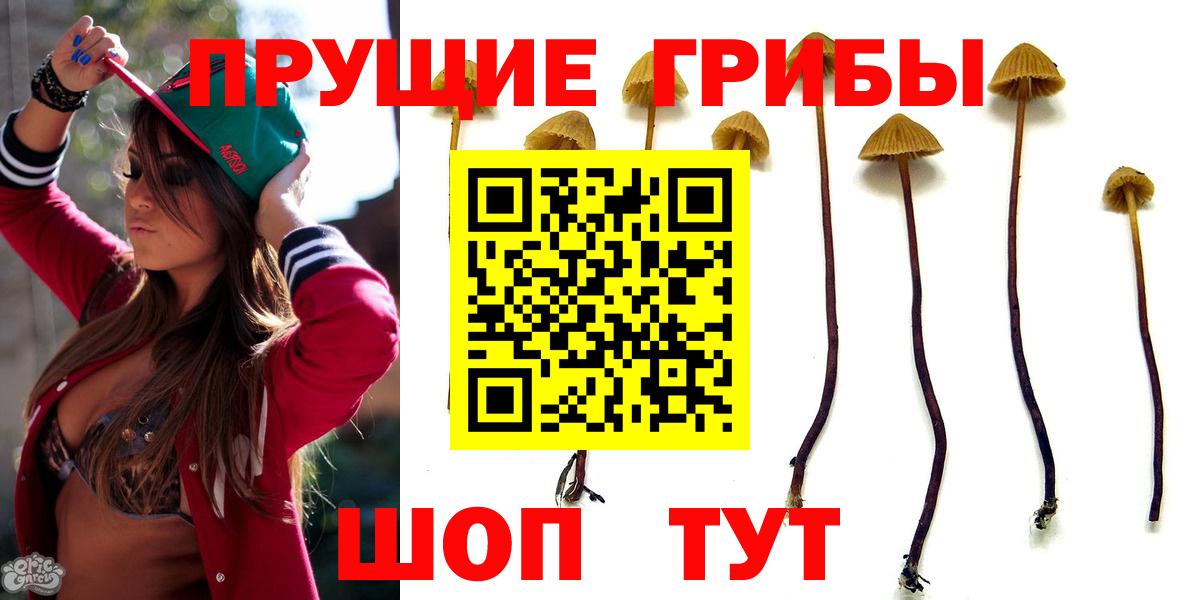 Ливны  Псилоцибиновые грибы прущие грибы  Вход с VPN  Псилоцибиновые грибы ЛСД 