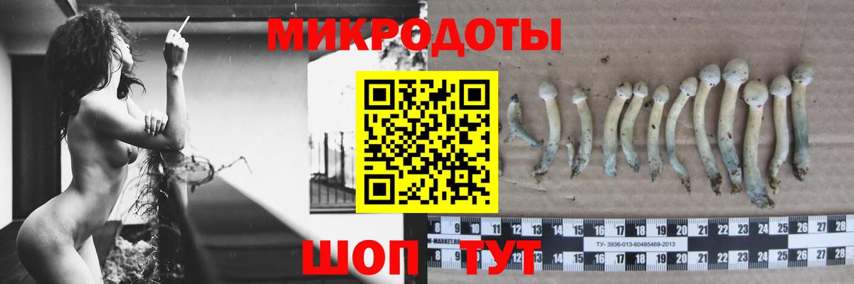 Галлюциногенные грибы MAGIC MUSHROOMS Ливны
